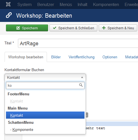 Auswahl Menüpunkt Screenshot - Auswahl Menüpunkt